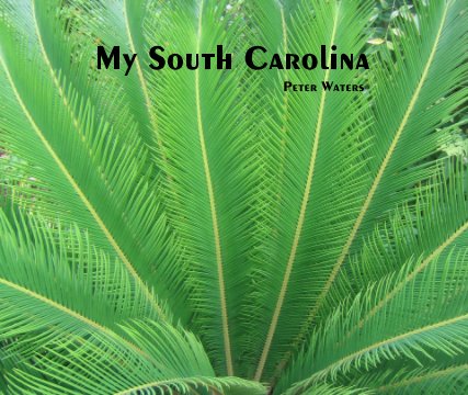My South Carolina book cover