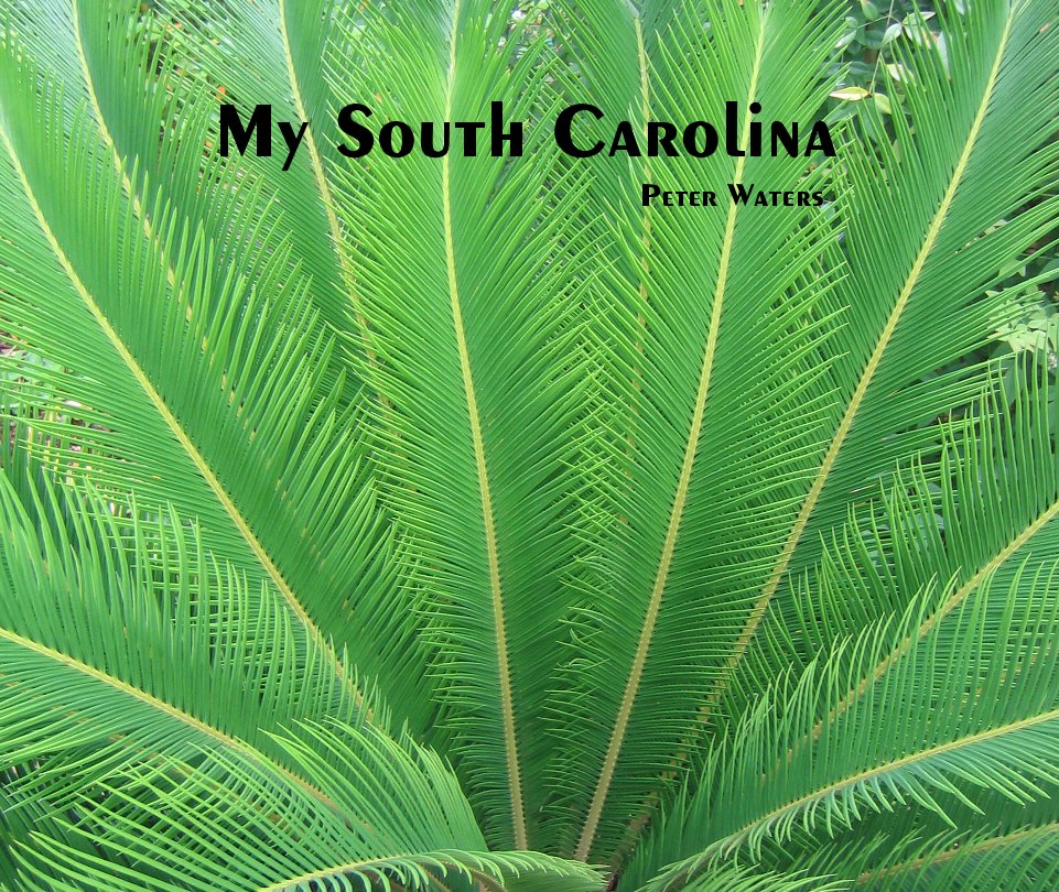 My South Carolina nach Photographs by Peter Waters anzeigen