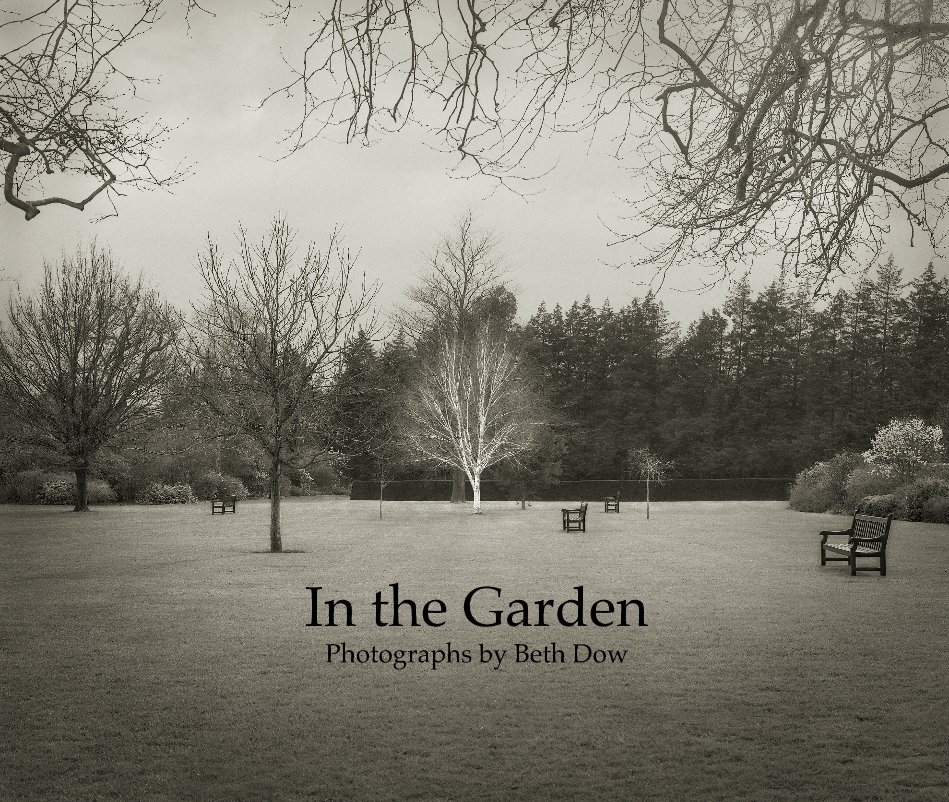 View In the Garden by Beth Dow