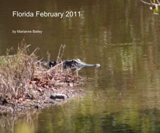 Florida February 2011 book cover