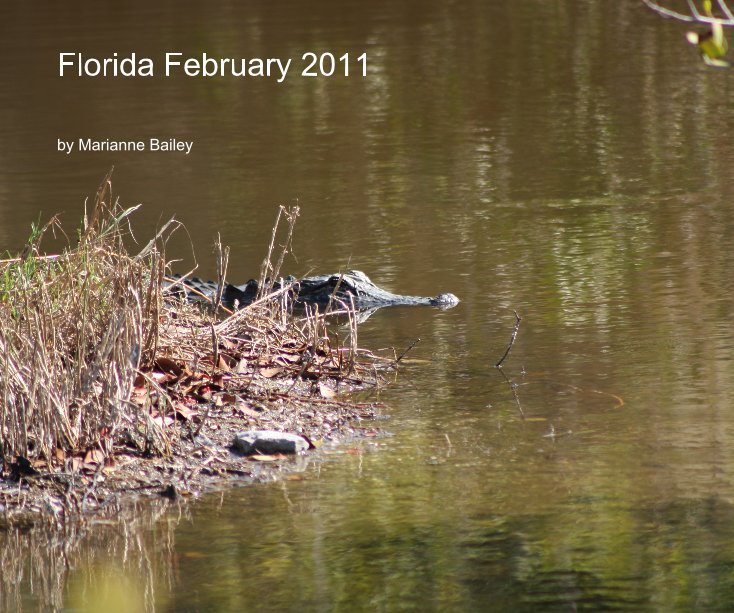 Bekijk Florida February 2011 op Marianne Bailey