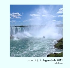 road trip / niagara falls 2011 book cover