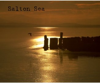 Salton Sea book cover