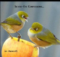 Silver-Eye Confessions... book cover