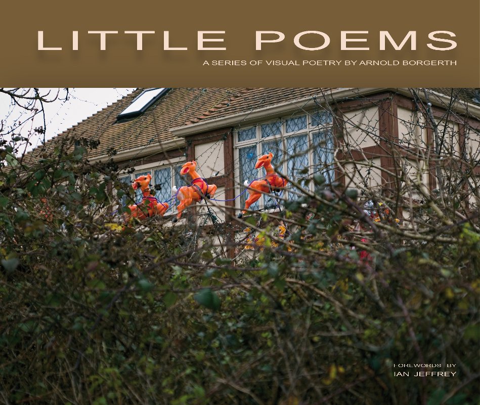 View LITTLE POEMS by Arnold Borgerth