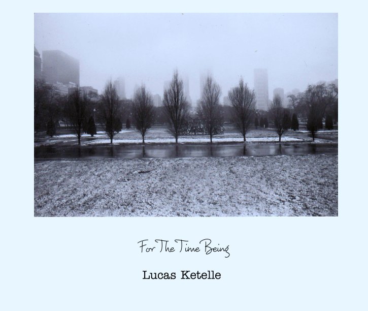 View For The Time Being by Lucas Ketelle