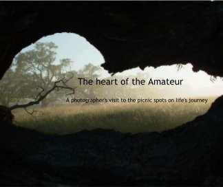 The Heart of the Amateur book cover