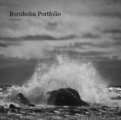 Bornholm Portfolio book cover