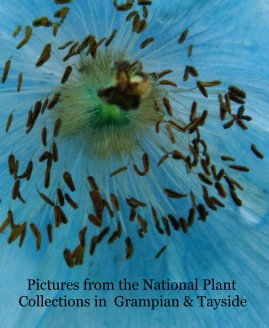 Pictures from the National Plant Collections in Grampian & Tayside book cover