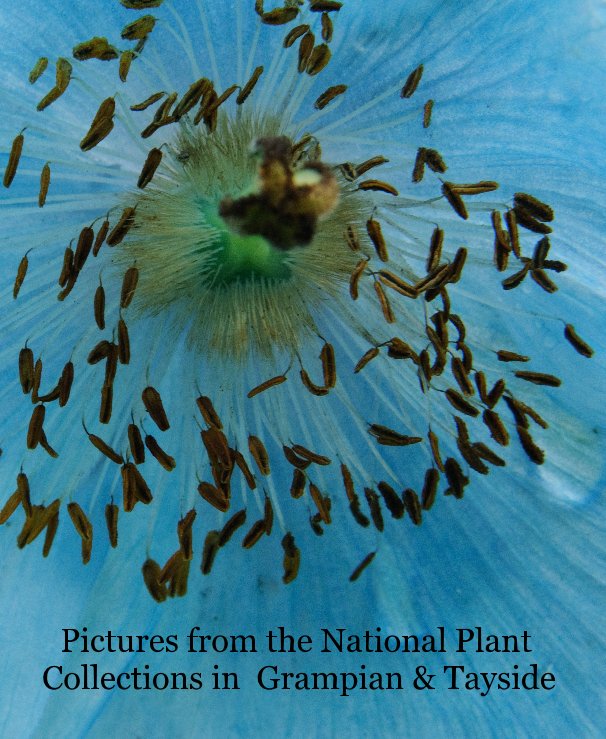 View Pictures from the National Plant Collections in Grampian & Tayside by Grampian & Tayside PH