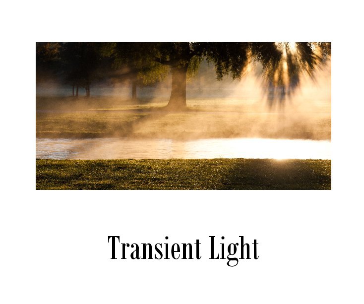 View Transient Light by Shaun Clarke