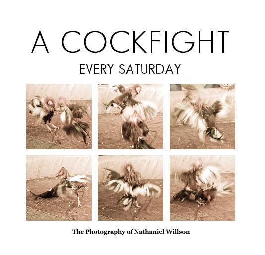 View A COCKFIGHT by Nathaniel Willson