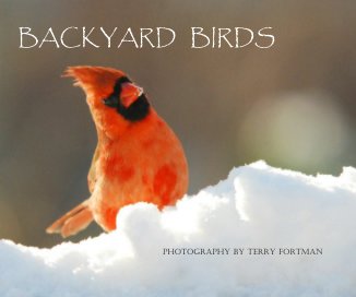 BACKYARD BIRDS book cover