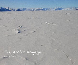 The Arctic Voyage book cover