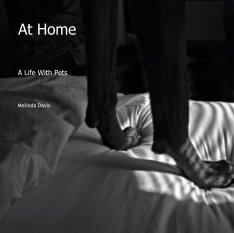 At Home book cover