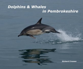 Dolphins & Whales in Pembrokeshire book cover