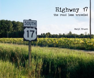 Highway 17 the road less traveled Meryl Truett book cover