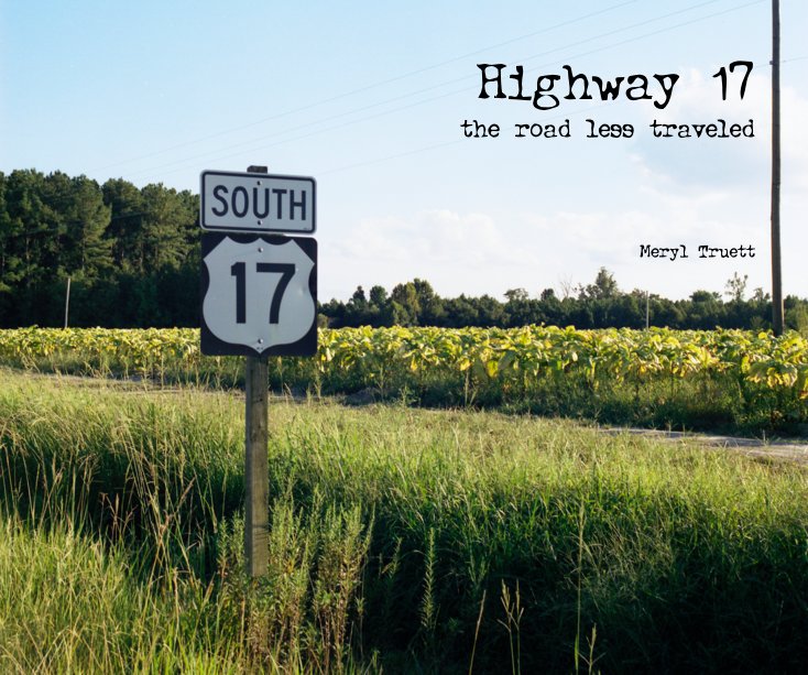 View Highway 17 the road less traveled Meryl Truett by Meryl Truett