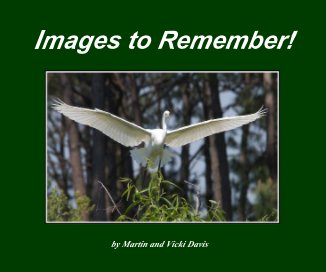 Images to Remember! book cover