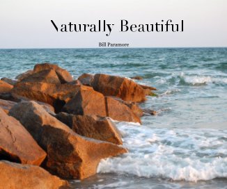Naturally Beautiful book cover