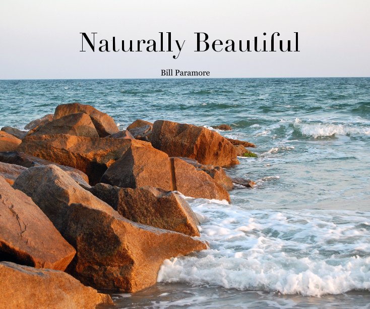 View Naturally Beautiful by Bill Paramore