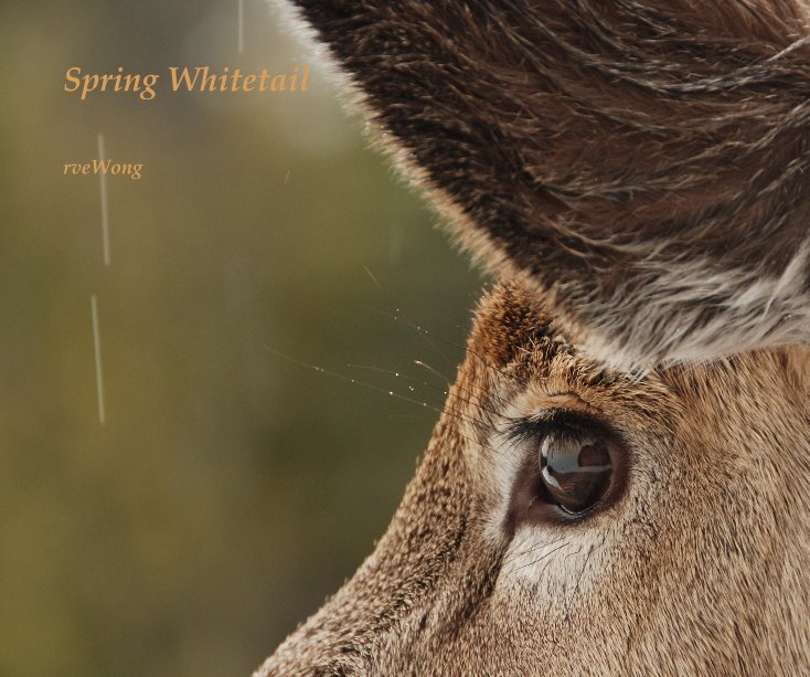 View Spring Whitetail by rveWong