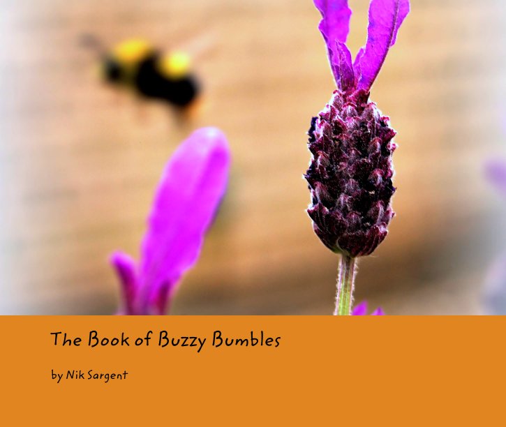 View The Book of Buzzy Bumbles by Nik Sargent