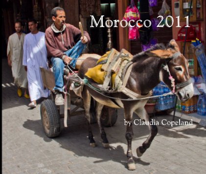 Morocco 2011 book cover