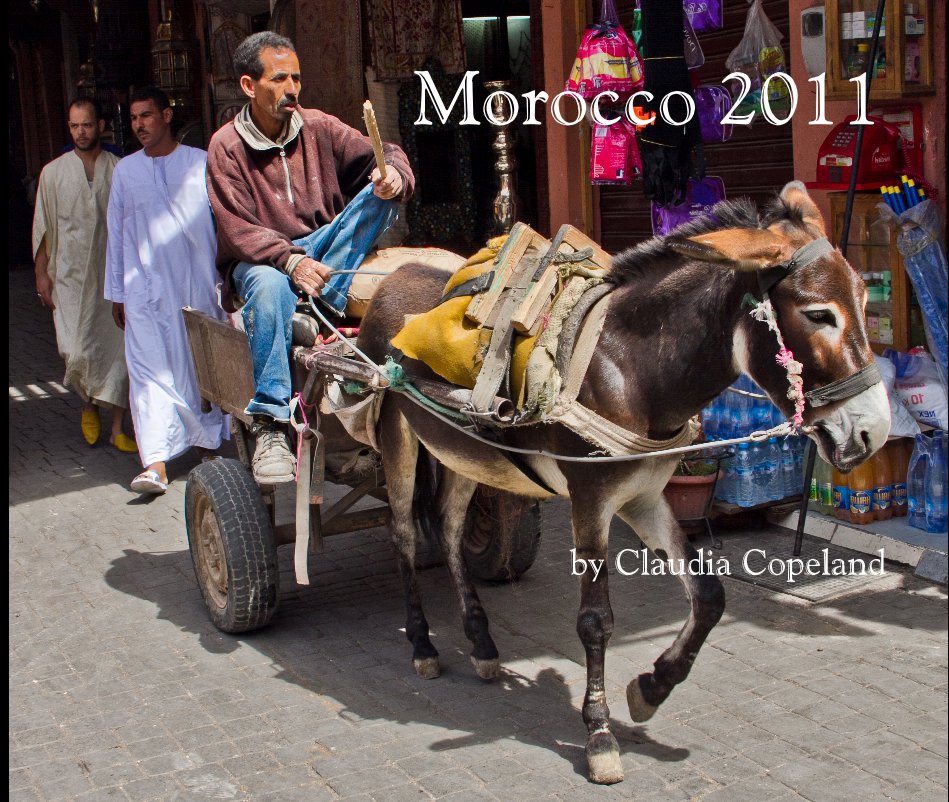 Bekijk Morocco 2011 op Claudia Copeland