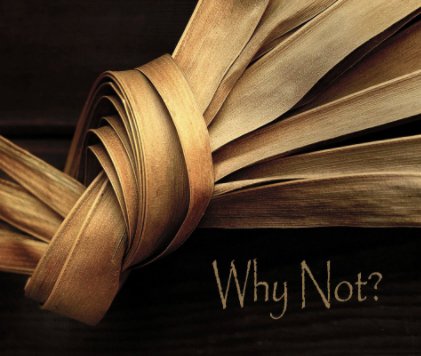 Why Not? book cover