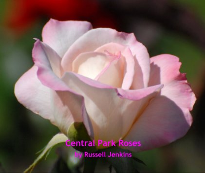 Central Park Roses book cover