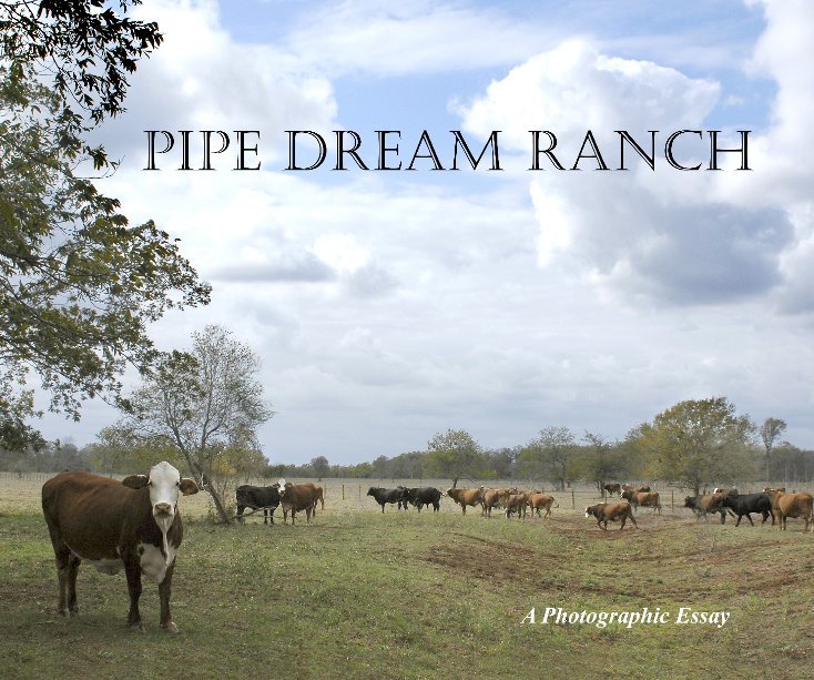 View Pipe Dream Ranch by Photographs by Sandra Stevens