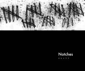Notches book cover