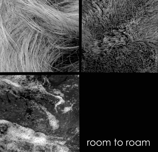 View Room To Roam by Brad Mintz