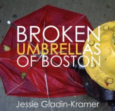 Broken Umbrellas of Boston book cover