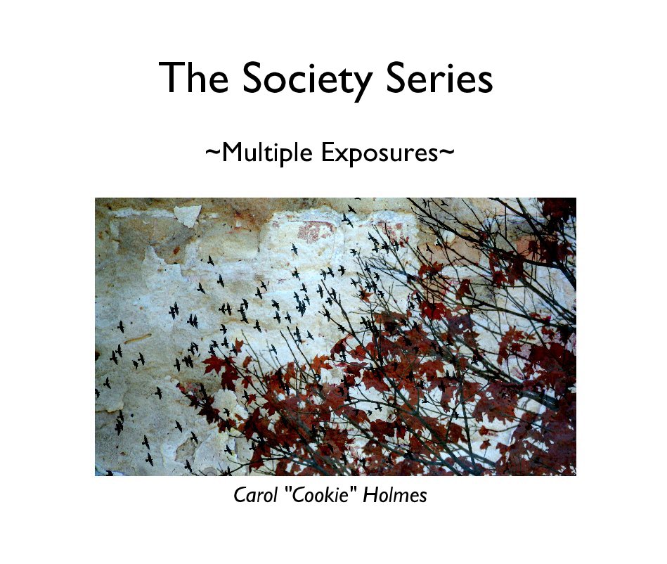 View The Society Series by Carol "Cookie" Holmes