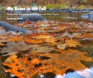 My Home in the Fall book cover