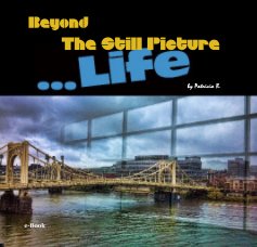 Beyond The Still Picture book cover