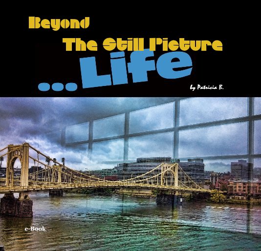 View Beyond The Still Picture by Patricia B.
