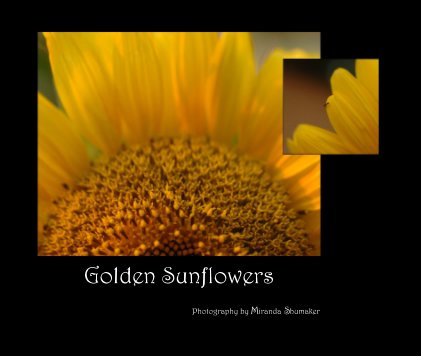 Golden Sunflowers book cover