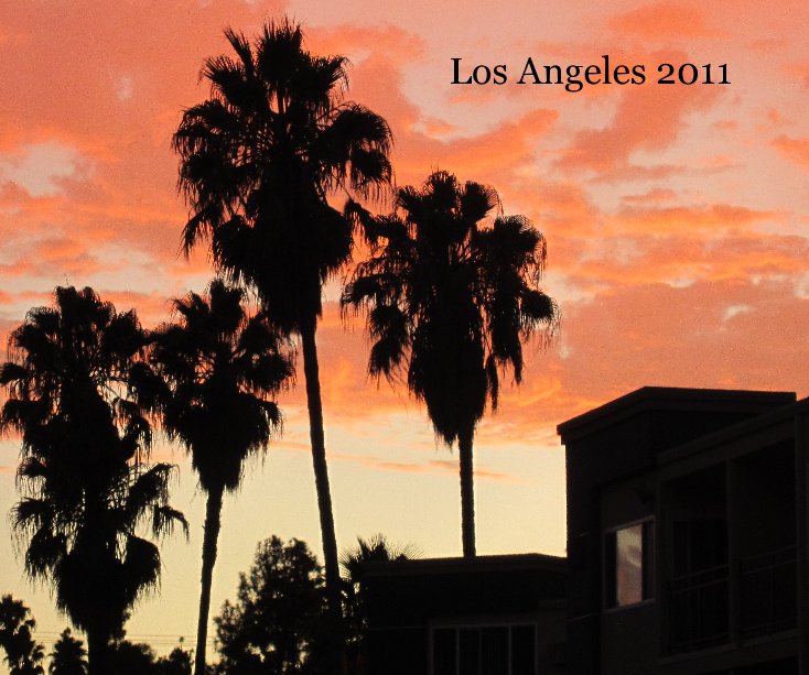View Los Angeles 2011 by jsargent