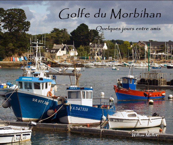View Golfe du Morbihan by William Mellet