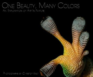 One Beauty, Many Colors book cover