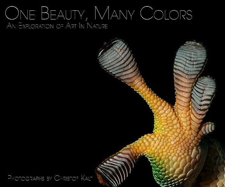 View One Beauty, Many Colors by Christof Kalt