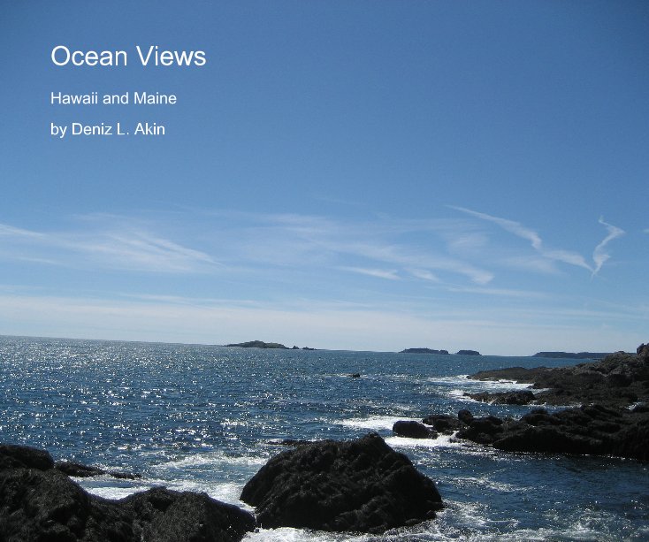 View Ocean Views by Deniz L. Akin