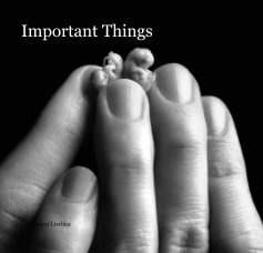 Important Things book cover