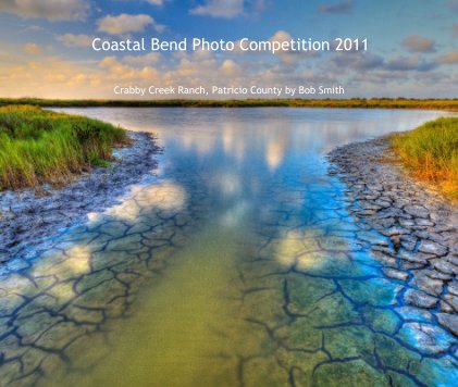 Coastal Bend Photo Competition 2011 book cover