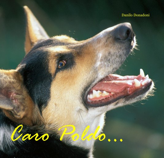 View Caro Poldo... by Danilo Donadoni