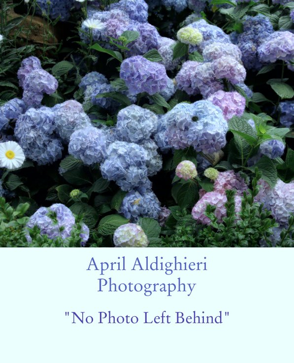 View April Aldighieri 
Photography by "No Photo Left Behind"