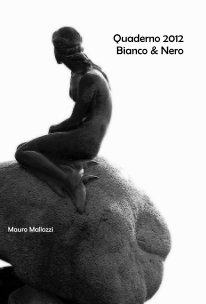 Quaderno 2012 Bianco e Nero book cover
